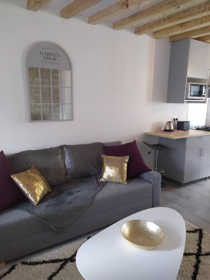 Casa Louka Villa Saint-Aignan  Dış mekan fotoğraf